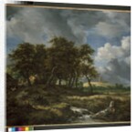 Landscape near Muiderberg, early 1650s by Jacob Isaaksz. or Isaacksz. van Ruisdael