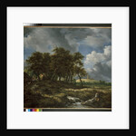 Landscape near Muiderberg, early 1650s by Jacob Isaaksz. or Isaacksz. van Ruisdael