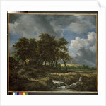 Landscape near Muiderberg, early 1650s by Jacob Isaaksz. or Isaacksz. van Ruisdael
