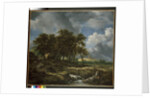 Landscape near Muiderberg, early 1650s by Jacob Isaaksz. or Isaacksz. van Ruisdael
