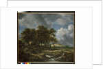 Landscape near Muiderberg, early 1650s by Jacob Isaaksz. or Isaacksz. van Ruisdael