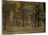 Richmond Park, 1914 by Spencer Frederick Gore