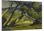 Trees, Provence, 1912 by Derwent Lees