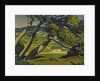 Trees, Provence, 1912 by Derwent Lees