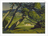 Trees, Provence, 1912 by Derwent Lees