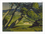 Trees, Provence, 1912 by Derwent Lees