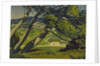 Trees, Provence, 1912 by Derwent Lees