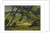 Trees, Provence, 1912 by Derwent Lees