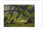 Trees, Provence, 1912 by Derwent Lees