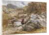 Mountain Pass at Bettws-y-Coed, 1851 by David Cox