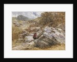 Mountain Pass at Bettws-y-Coed, 1851 by David Cox