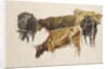 Study of a Group of Cows, c. 1801 by Joseph Mallord William Turner
