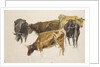 Study of a Group of Cows, c. 1801 by Joseph Mallord William Turner
