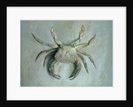 Velvet Crab, 1870-1 by John Ruskin