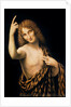 St. John the Baptist, 16th century by Leonardo da Vinci