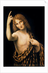 St. John the Baptist, 16th century by Leonardo da Vinci