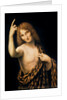 St. John the Baptist, 16th century by Leonardo da Vinci