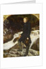 John Ruskin, 1854 by John Everett Millais