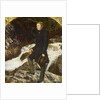 John Ruskin, 1854 by John Everett Millais