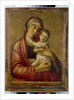 Madonna and Child by Giovanni Bellini
