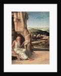 St. Jerome Reading in a Landscape by Giovanni Bellini