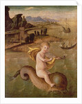Arion Riding on the Dolphin by Francesco Bianchi Ferrari