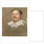 Portrait of a Man in a Falling Collar by Anthony van Dyck