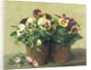 Still Life of Pansies and Daisies, 1889 by Ignace Henri Jean Fantin-Latour