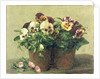 Still Life of Pansies and Daisies, 1889 by Ignace Henri Jean Fantin-Latour