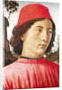 Portrait of a Young Man, 15th century by Domenico Ghirlandaio