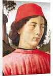 Portrait of a Young Man, 15th century by Domenico Ghirlandaio