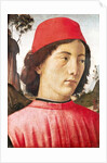 Portrait of a Young Man, 15th century by Domenico Ghirlandaio