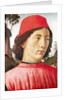 Portrait of a Young Man, 15th century by Domenico Ghirlandaio