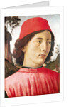 Portrait of a Young Man, 15th century by Domenico Ghirlandaio