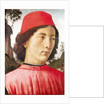 Portrait of a Young Man, 15th century by Domenico Ghirlandaio