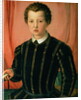 Portrait of Don Giovanni de' Medici by Agnolo di Cosimo Bronzino