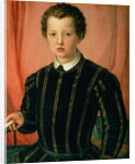 Portrait of Don Giovanni de' Medici by Agnolo di Cosimo Bronzino
