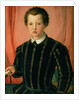 Portrait of Don Giovanni de' Medici by Agnolo di Cosimo Bronzino