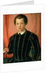 Portrait of Don Giovanni de' Medici by Agnolo di Cosimo Bronzino