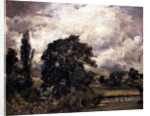 Water Meadows Near Salisbury, 19th century by John Constable