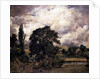 Water Meadows Near Salisbury, 19th century by John Constable