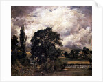 Water Meadows Near Salisbury, 19th century by John Constable