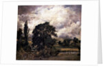 Water Meadows Near Salisbury, 19th century by John Constable