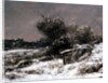 Winter Scene, 19th century by Gustave Courbet