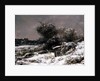 Winter Scene, 19th century by Gustave Courbet