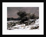 Winter Scene, 19th century by Gustave Courbet