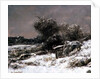 Winter Scene, 19th century by Gustave Courbet