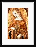 St. Catherine of Alexandria, 15th century by Vittorio Crivelli
