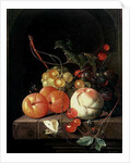 Still Life of Fruit, 17th century by David de II Heem
