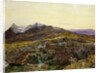 Cuillin Ridge, Skye from Sligechan, 19th century by John William Inchbold